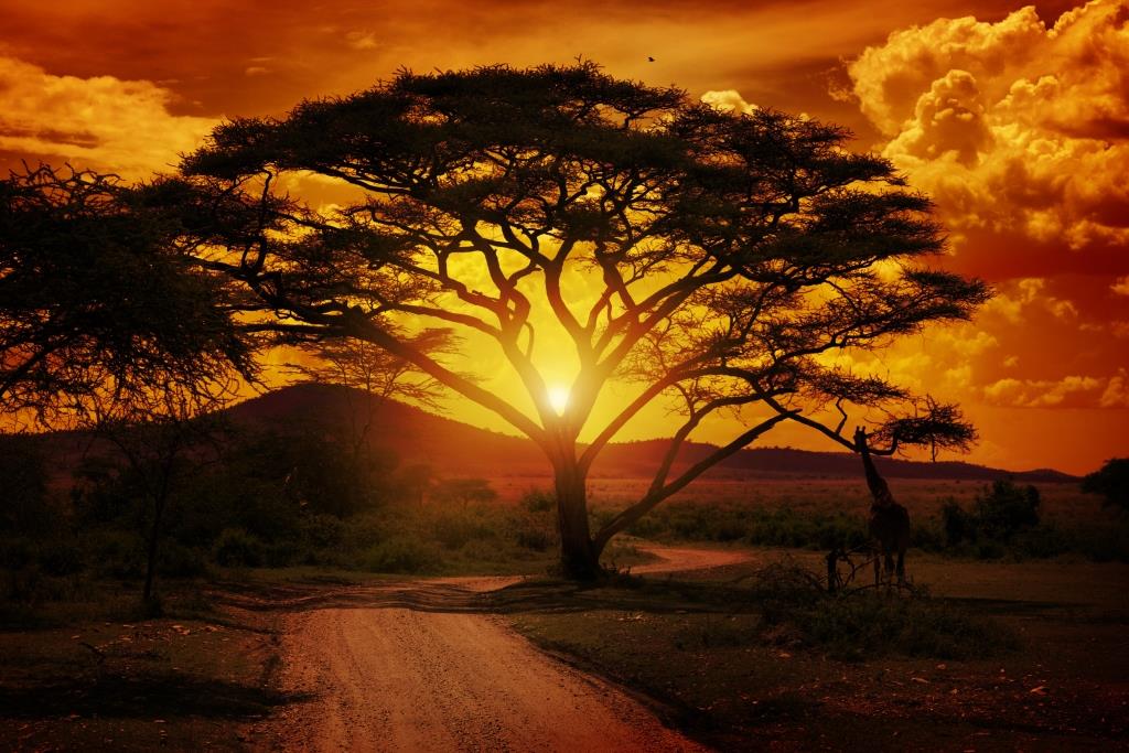 Naturaleza en África