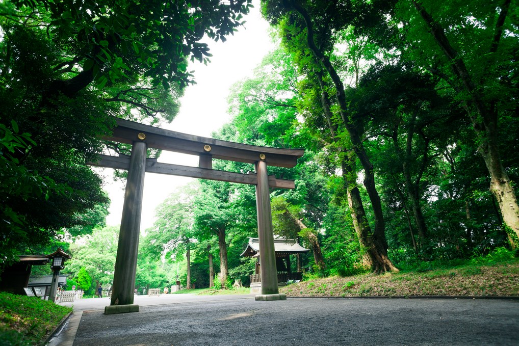 Puerta torii del Santuario Meiji